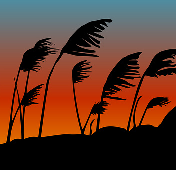 Free Sunset Silhouette illustration and picture