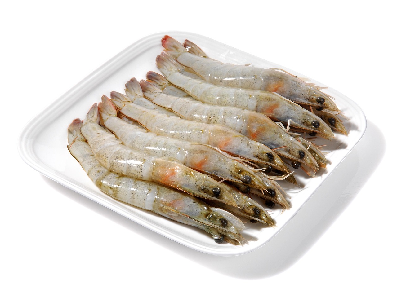 Shrimp Ocean Free photo on Pixabay Pixabay