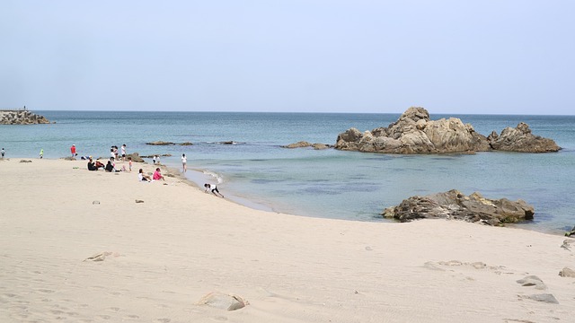 Free Sand To The Beach Summer photo and picture