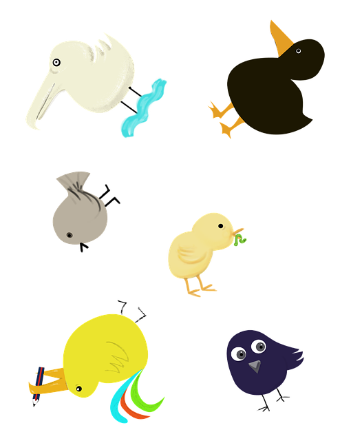 Free Bird Pattern illustration and picture