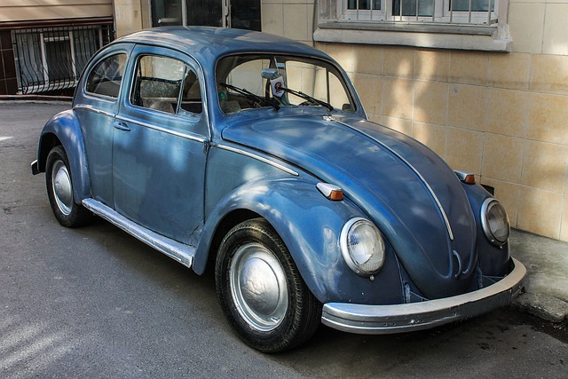 Free Ww Volkswagen photo and picture