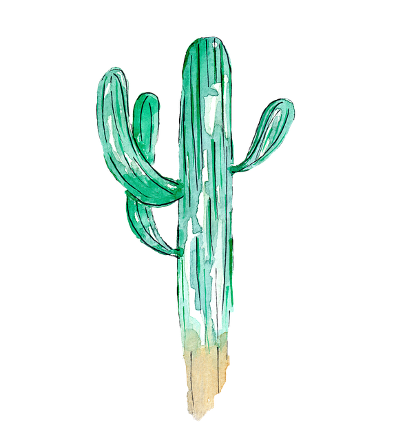 Free Saguaro Cacti Cactus illustration and picture