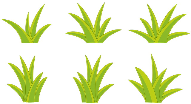 Struik, Struiken, Natuur, Bloemen