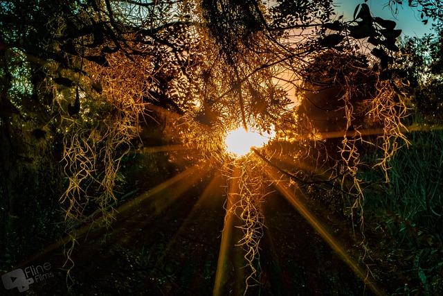 Zonsondergang, Zon, Landschap, Natuur