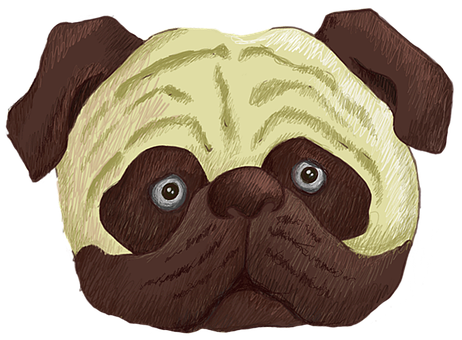 Free Pug Dog illustration and picture