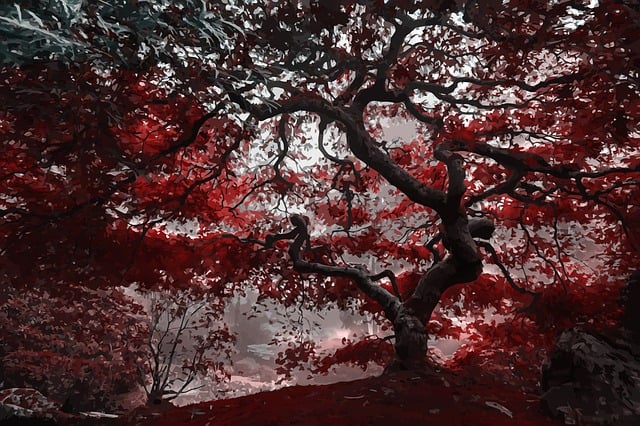 Free tree red nature illustration