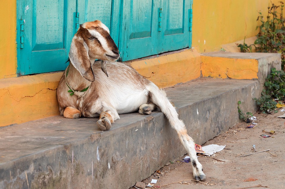 India's Tax Surge: 323% Rise in High Earners and Burden Shift to Super-Rich - News Directory 3