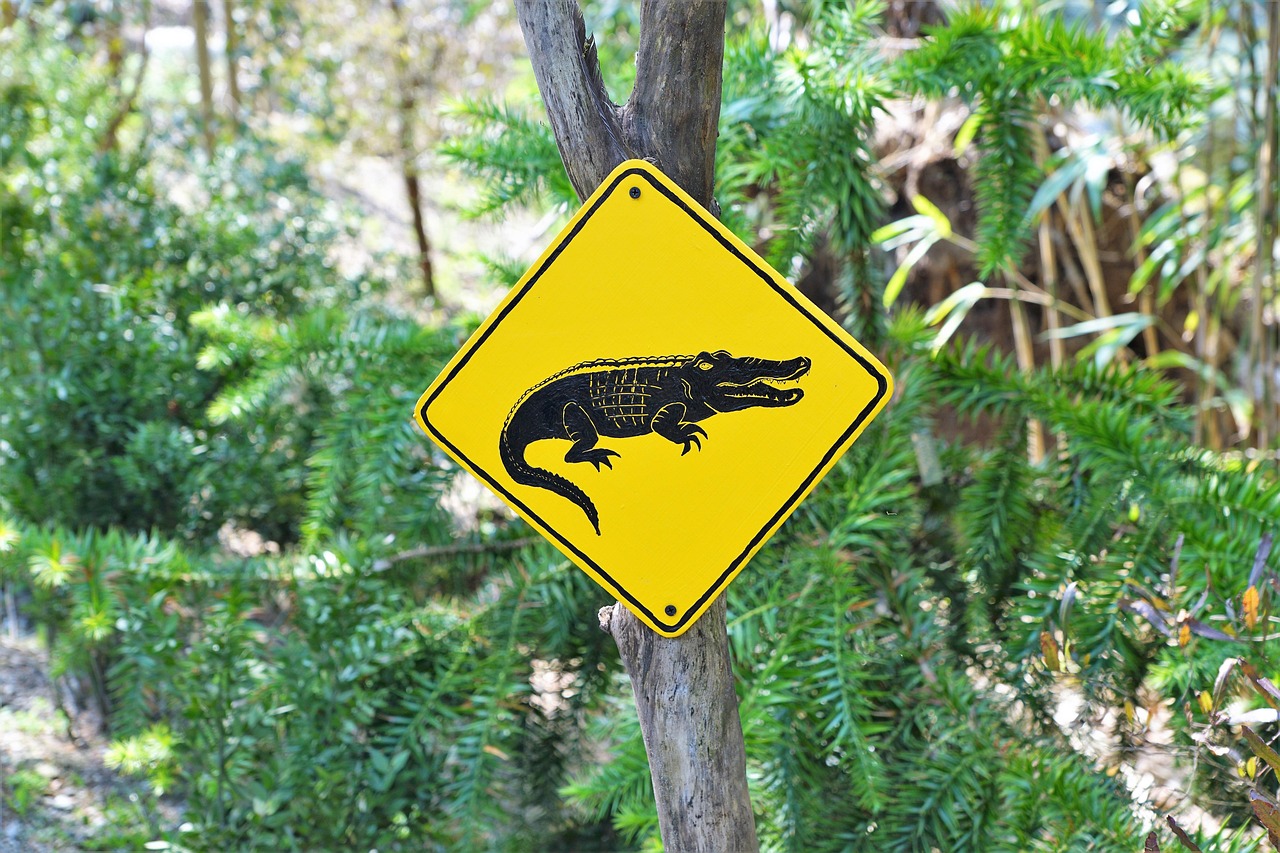 Australia - free online jigsaw puzzle photo