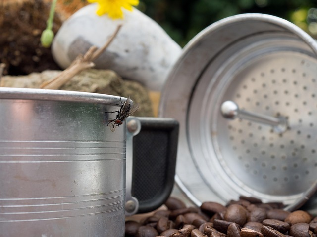 Zon, Stijl, Raar