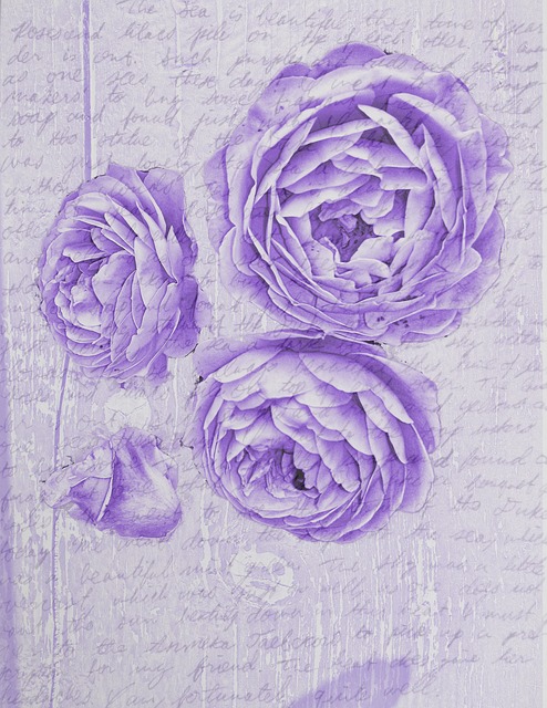 Roser, Romantisk, Papir, Scrapbooking
