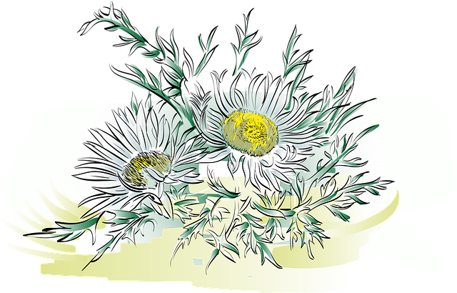 Free thistle alpine flower flower vector