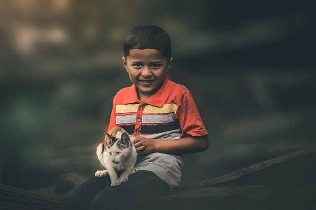 little boy with cat, cat, nature, animal, cute boy with animal, pet, a cat with a boy, boy