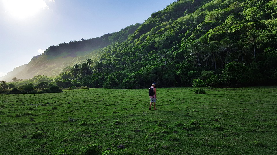 Strolling Adventure Hike To Stroll Wilderness - Free photo on Pixabay