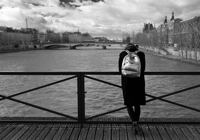 Free Pont Des Arts Paris photo and picture