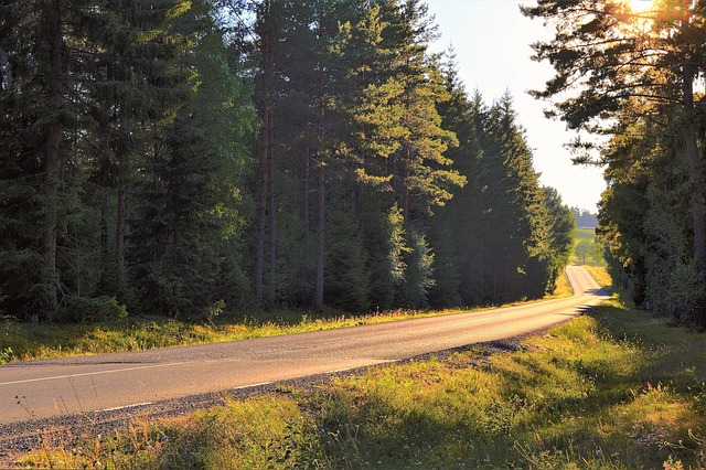 Road, Verano, Atardecer, Naturaleza