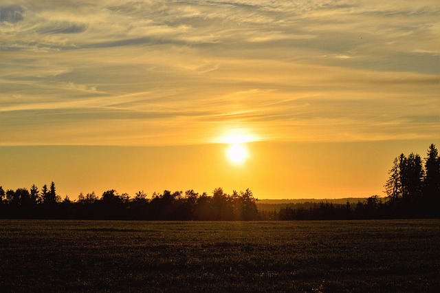 Atardecer, Suecia, Campo, Ir, Prado