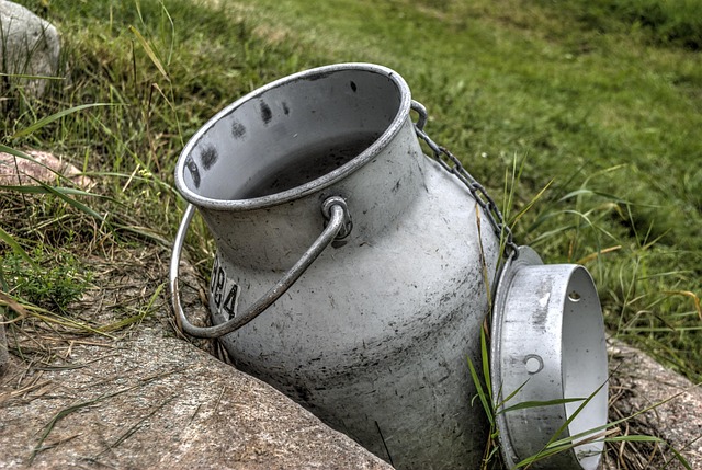 Free Summer Pot photo and picture