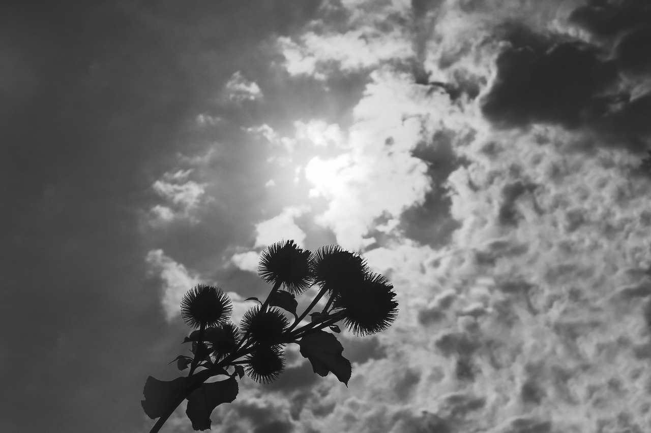 Heat Clouds Heaven - Free photo on Pixabay - Pixabay