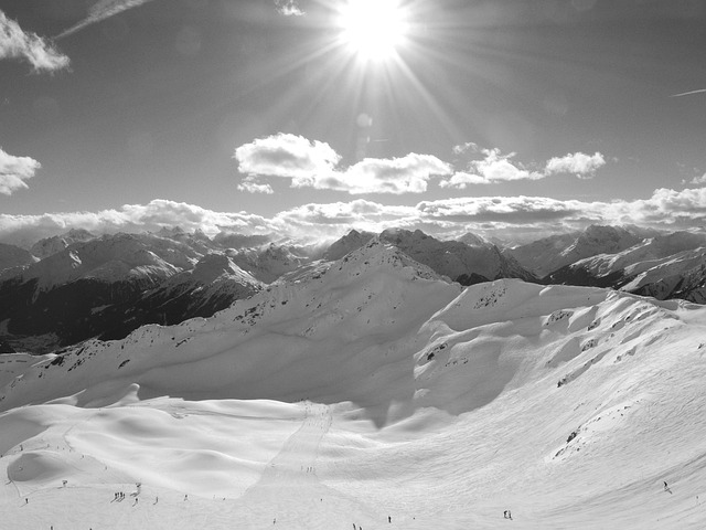 Free Black-And-White Backlighting photo and picture