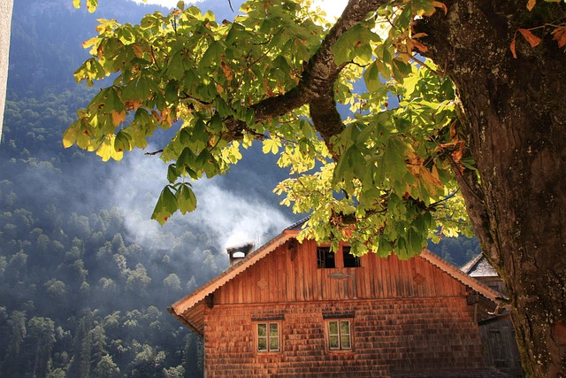 Bergen, Hut, Bomen, Alpen, Koningssee
