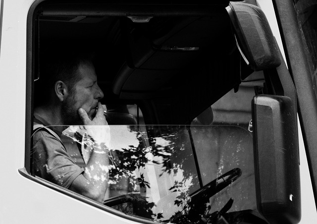 Free Man Van photo and picture
