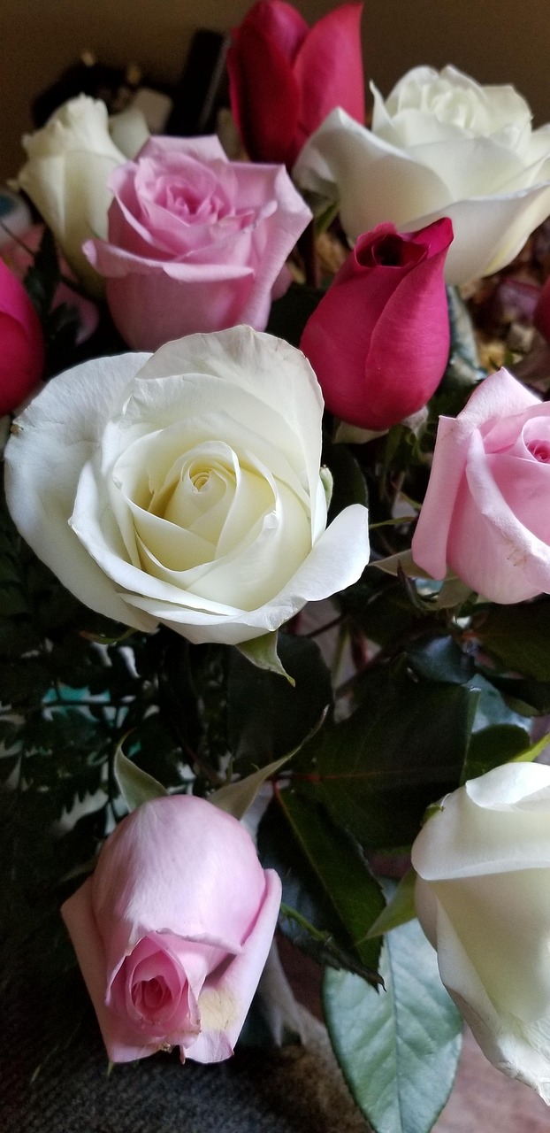 Rose Flower Love Free photo on Pixabay Pixabay