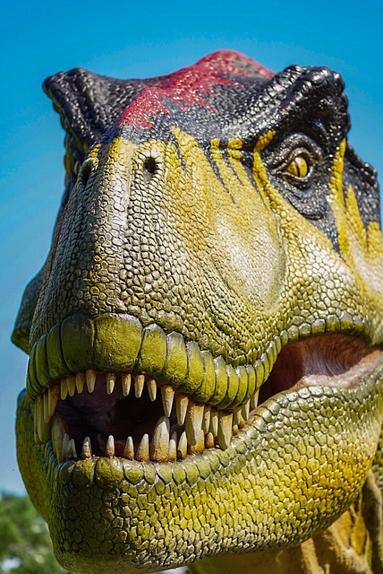 Free Dinosaur Rex photo and picture