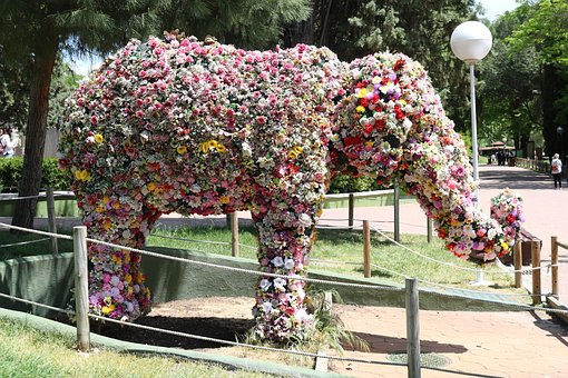 Elefant, Tier, Tiere, Säugetiere, Afrika