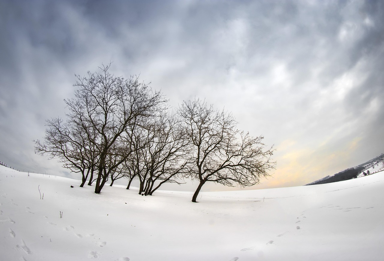 Fisheye Landschaft