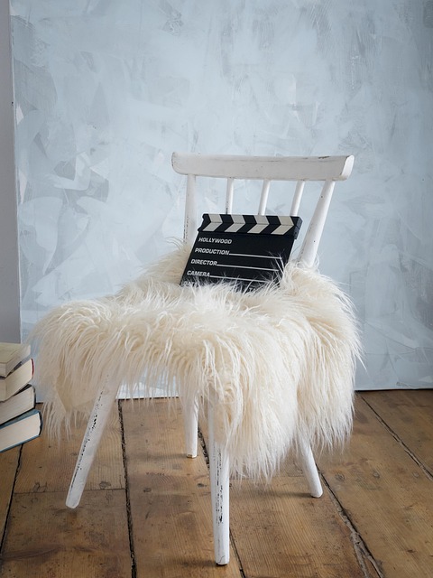 Stuhl, Zimmer, Studio, Fell, Klappe