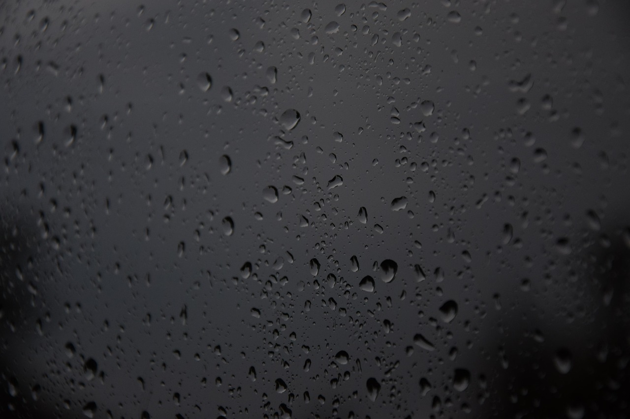 90 多张免费的“雨窗”和“雨”照片 - Pixabay