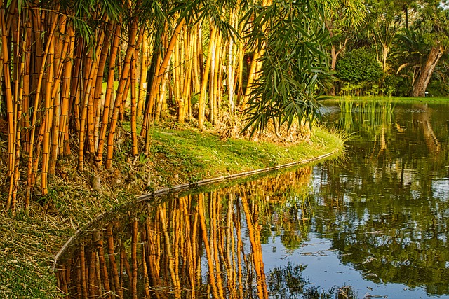 Free Landscape Nature photo and picture