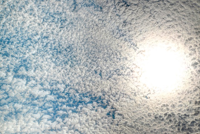Free Sun Sheep Clouds photo and picture