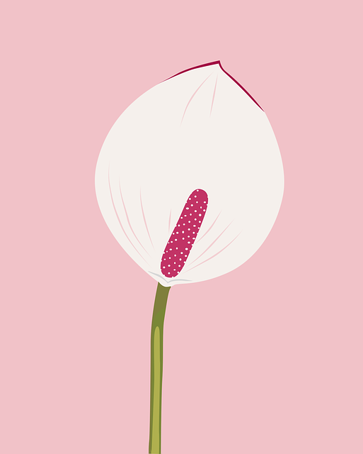 Floare, Roz, Natura, A Inflori