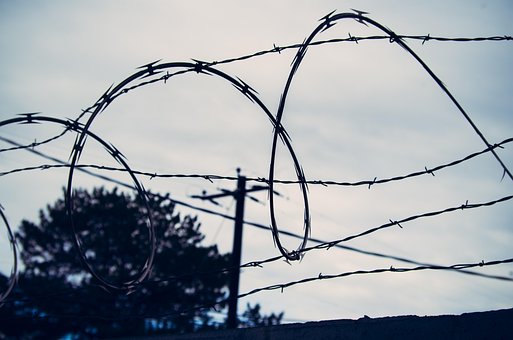 Free Barb Wire Razor Wire photo and picture