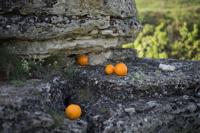 Free Oranges Rock photo and picture