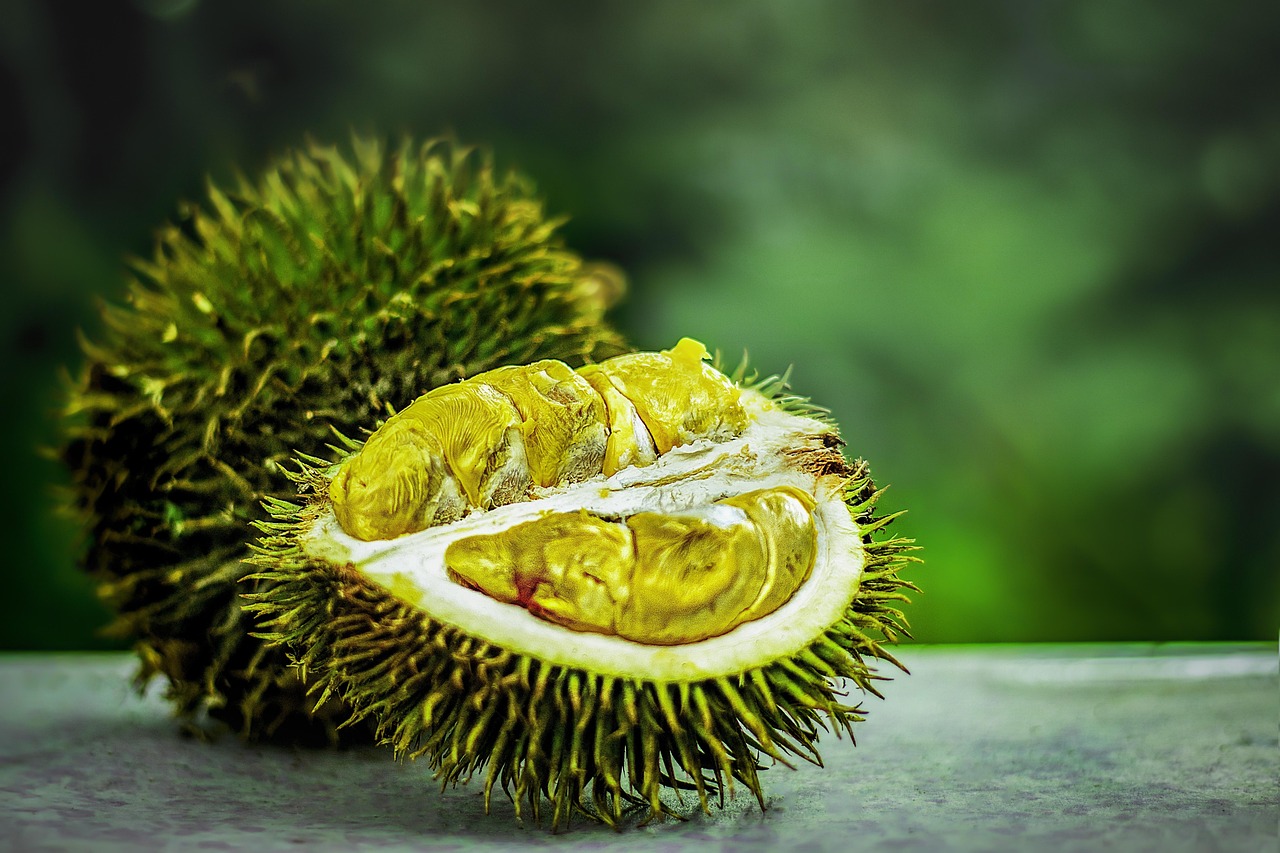 Durian fruit