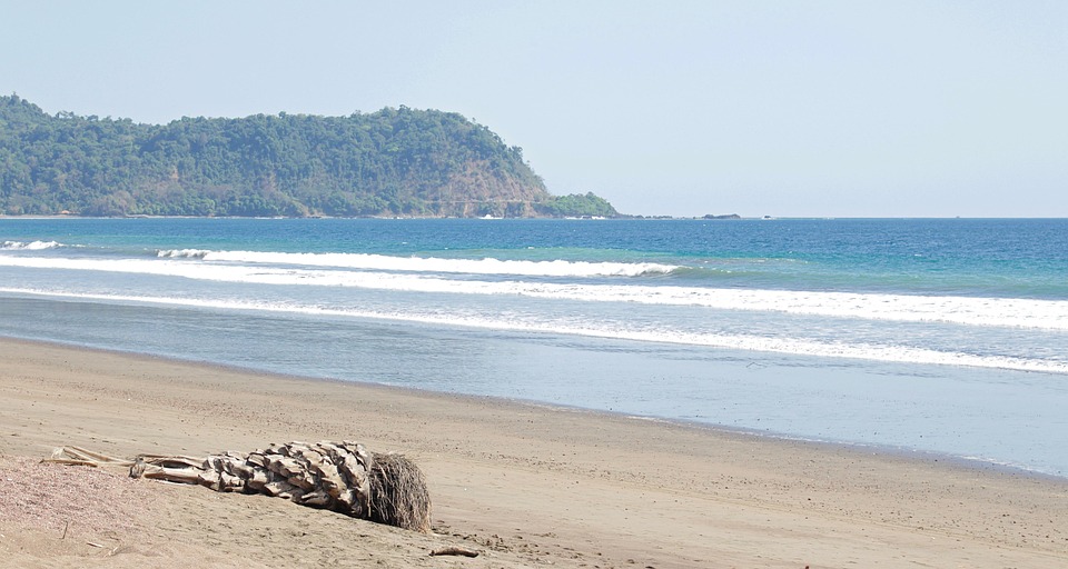 Costa Rica, Tropicales, Selva, Naturaleza