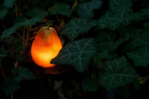 Pera, Lâmpada Elétrica, Jardim, Hera