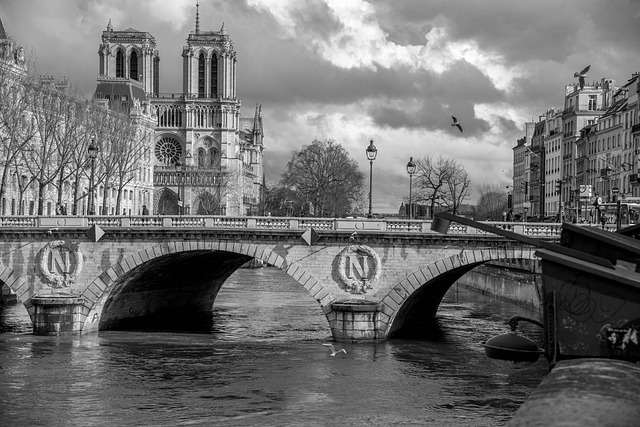 Free Seine Paris photo and picture