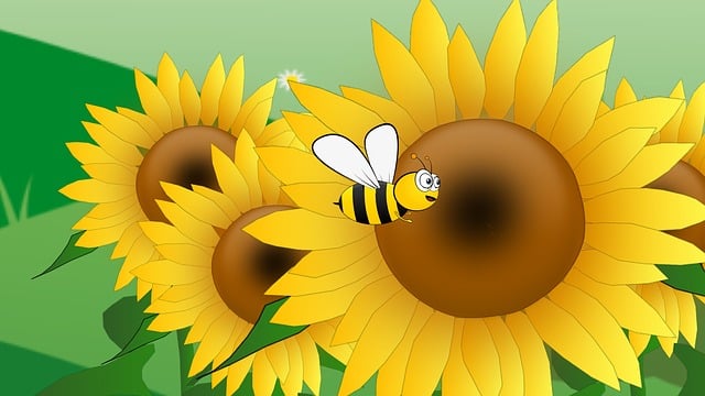 Biene, Blume, Sonnenblumen