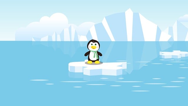 Eis, Antarktis, Pinguin, Kalt, Winter