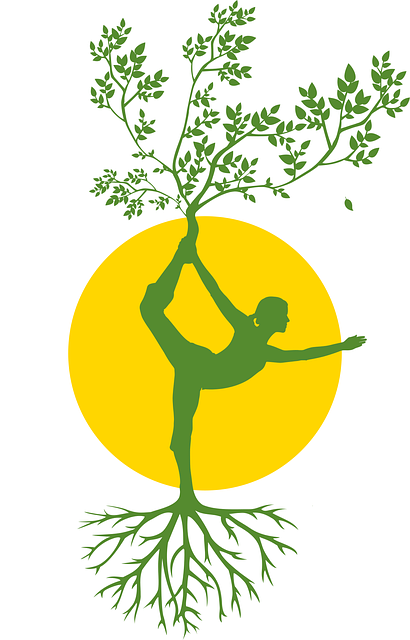 Silhuet, Kvinde, Træ, Yoga, Meditation