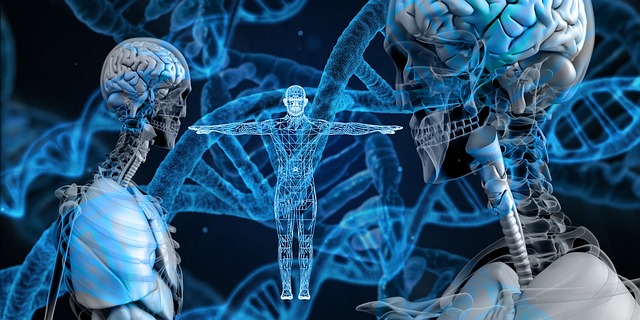 dna, heritage, helix, proteins, biology, chemistry, medicine, research, medical, science, anatomy, skull, head, brain, genetically, strand, discovery, development, health, coding, biotechnology, dna, dna, dna, dna, dna, brain, brain, biotechnology, biotechnology