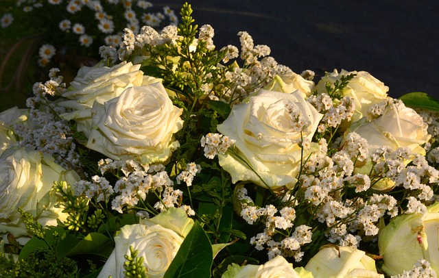 Free Flora Plant photo and picture