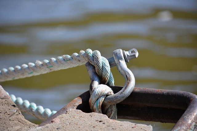Free Harbour Nature photo and picture