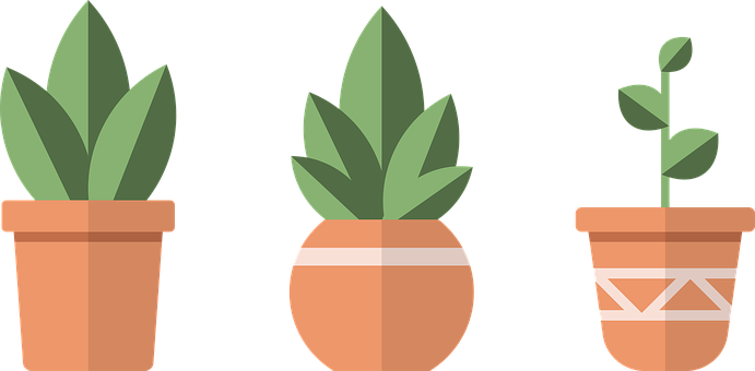 Free Pots Plants illustration and picture