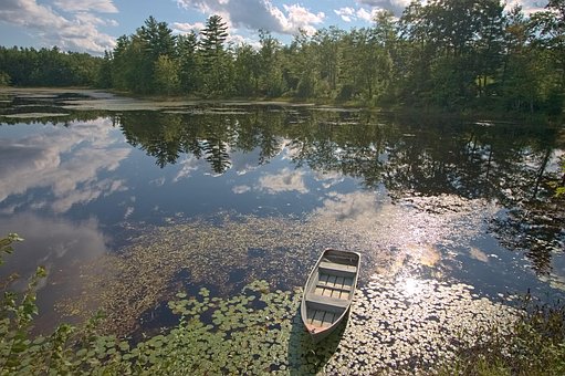 Free Boat Lake photo and picture