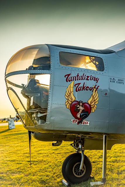 Wwii Nose Art Aircraft - Free photo on Pixabay - Pixabay