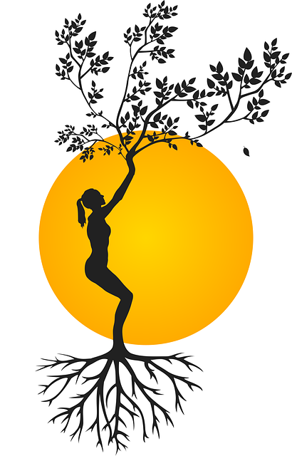 Silhouette, Frau, Baum, Yoga, Meditation